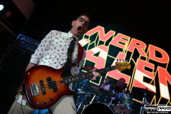 Nerd Halen