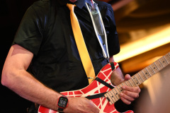 Nerd Halen
