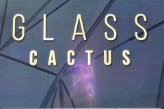Glass Cactus