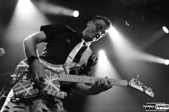 Nerd Halen