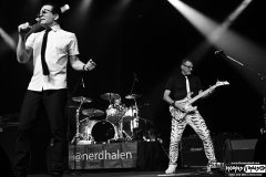 Nerd Halen
