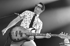 Nerd Halen