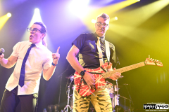 Nerd Halen