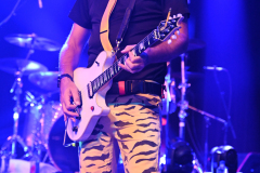 Nerd Halen