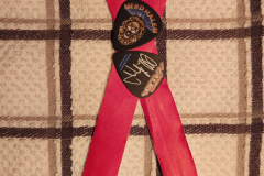 Wristbands and picks