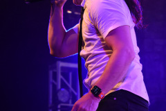 Nerd Halen