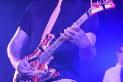 Nerd Halen