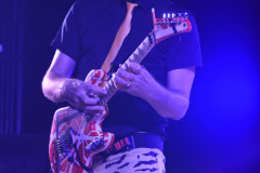Nerd Halen