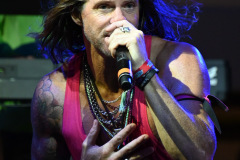 Nestor