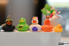 I am fascinated by the ducks in the jewelry store on the ship