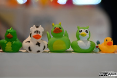 Ducks in the jewelry store on the ship