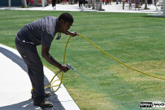 Painting the grass