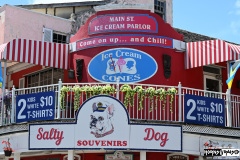 Salty Dog