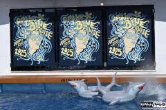 On The Blue Cruise | August 24, 2025 | Norwegian Gem