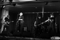 The Young Dubliners | August 26, 2025 | On The Blue Cruise