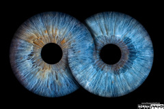 Infinity irises - Stacey & I