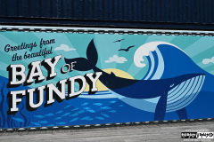 On The Blue Cruise | August 27, 2025 | St. John's, Newfoundland (island)
