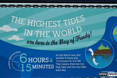 On The Blue Cruise | August 27, 2025 | St. John's, Newfoundland (island)