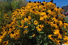 On The Blue Cruise | August 28, 2025 | Portland, Maine