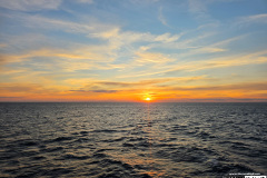On The Blue Cruise | August 28, 2025 | Norwegian Gem