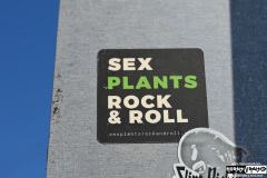 On The Blue Cruise | August 28, 2025 | Portland, Maine