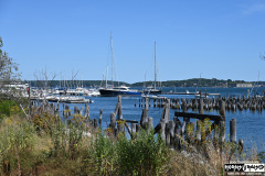 On The Blue Cruise | August 28, 2025 | Portland, Maine