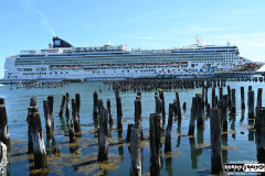 On The Blue Cruise | August 28, 2025 | Portland, Maine