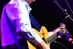 Al Stewart