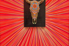 Trippy wall art