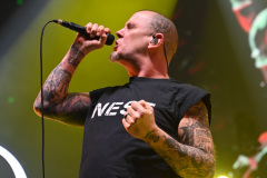 Pantera