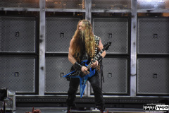 Pantera