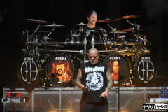 Pantera