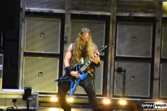 Pantera