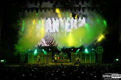 Pantera
