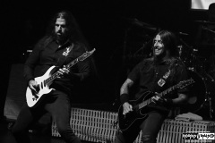 Dark Tranquillity