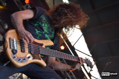 Revocation