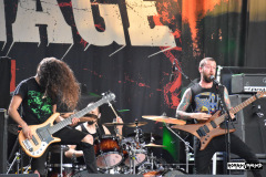 Revocation