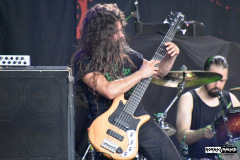 Revocation
