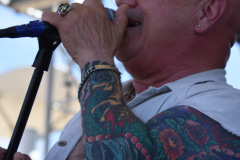 Rose Tattoo