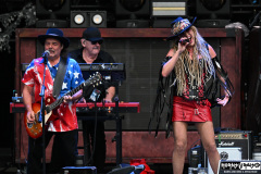 Six Gun Sally