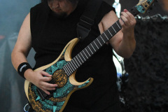 Soulfly