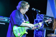 Stu Hamm