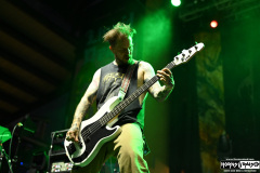 Sylosis