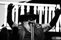 Texas Hippie Coalition