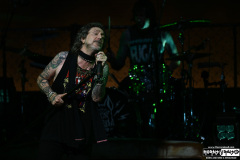 The Black Crowes | May 31, 2026