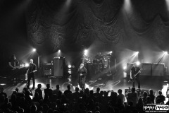 The Cult