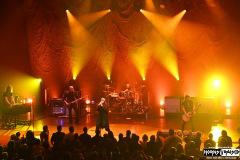 The Cult