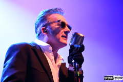 The Damned