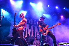 The Damned
