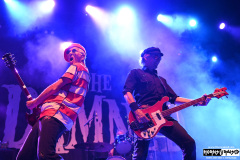 The Damned
